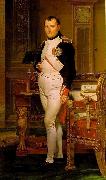 Jacques-Louis David Napoleon in His Study oil